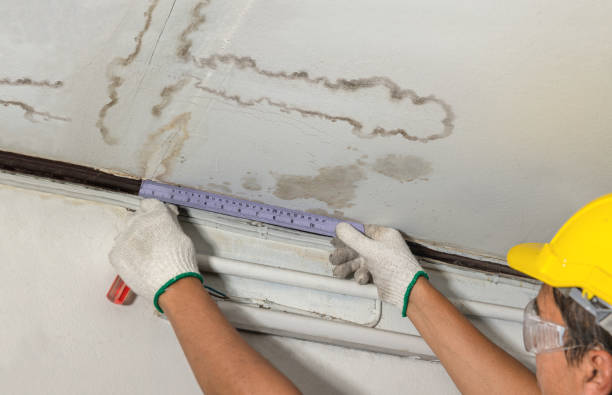 Reliable Burst Pipe Cleanup contractor in Farmersville, CA by Water Damage Irwin